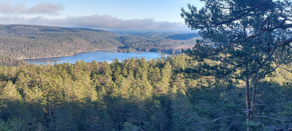 Utsikt nordøst fra lia opp til Malfjell