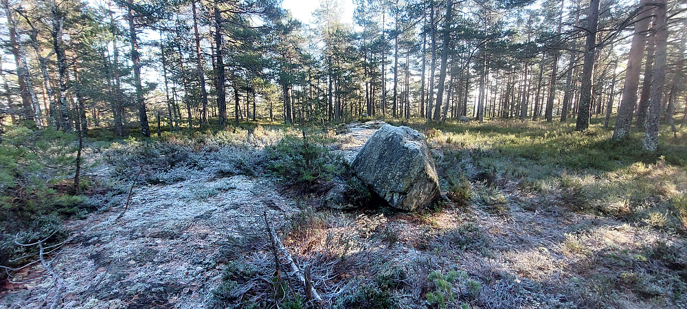 Malfjell