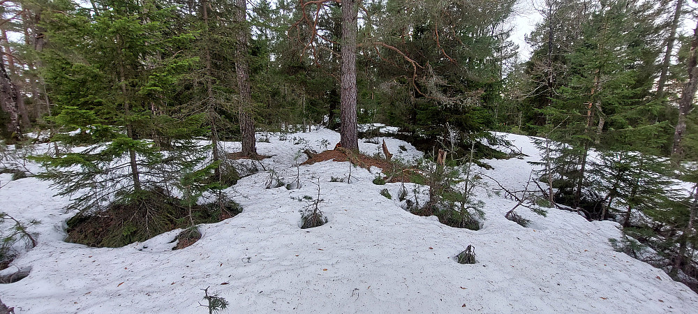 Toppunkt