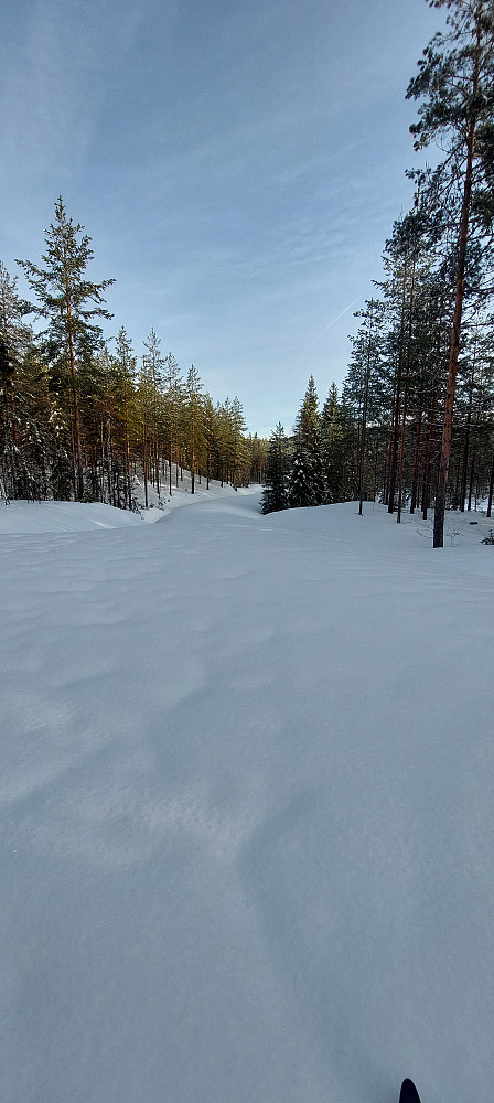 Fortsatte på ubrøytet skogsbilvei