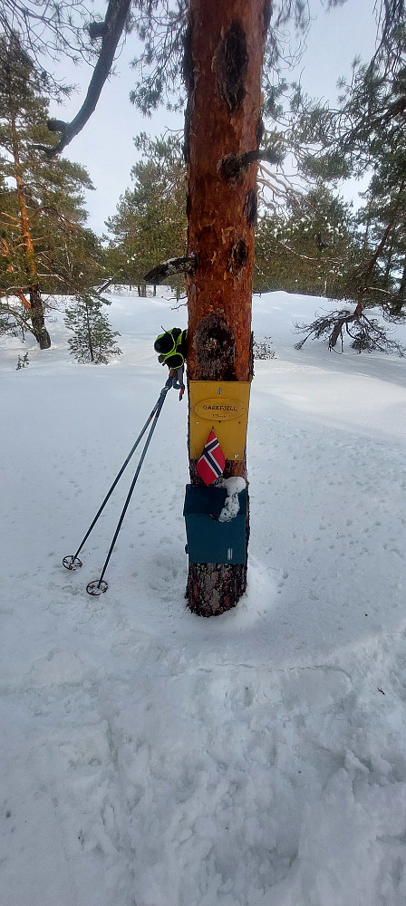  Turkasse på toppen