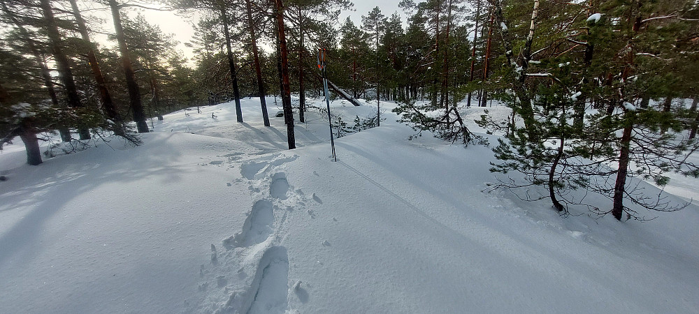 Toppunkt litt bortenfor kasse