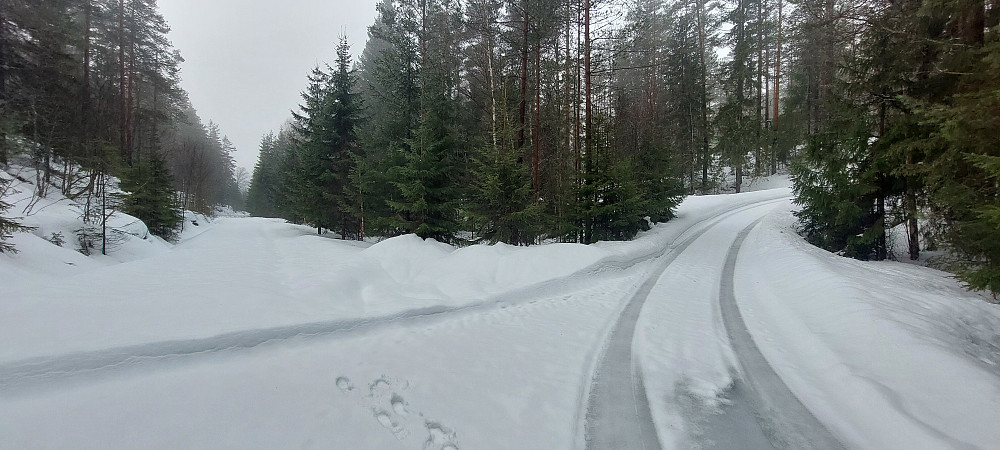 Ubrøytet vei til Lomtjern går rett fram