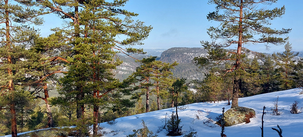 Skardsfjell