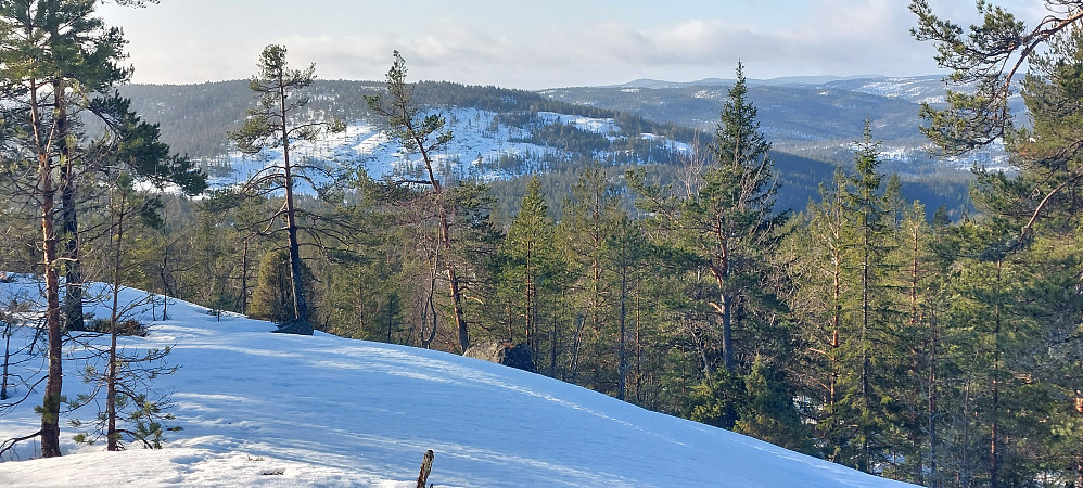 Bjønnåsfjell