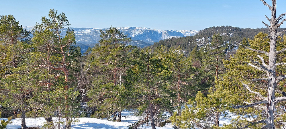 Utsikt nord-vest. Åkreheia nærmest og Rønnomnibben bakerst.