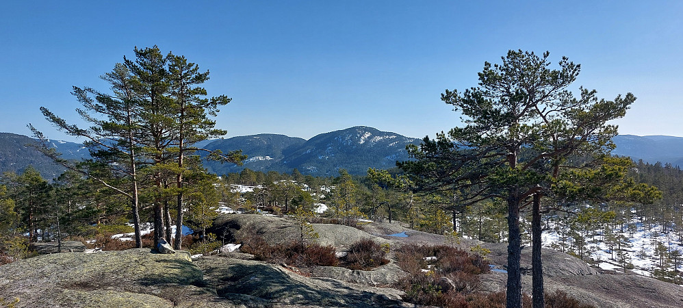 Åkreheia og Bjørndalsfjellet