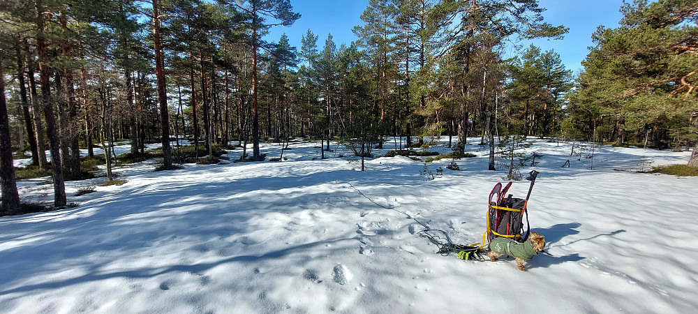 Flatt og fint toppområde.