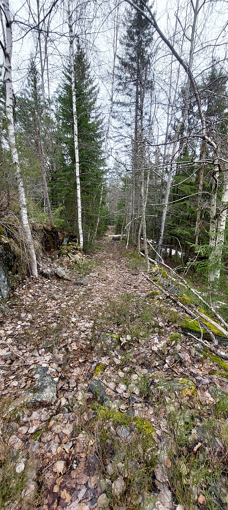  Traktorvei