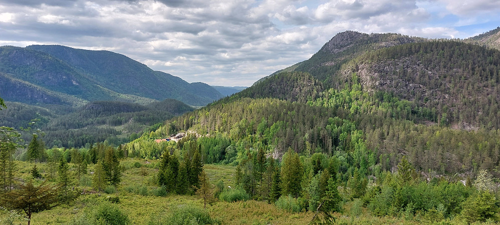 Utsikt nordover fra toppen av hogstfeltet mot Hornåsen 513 moh.