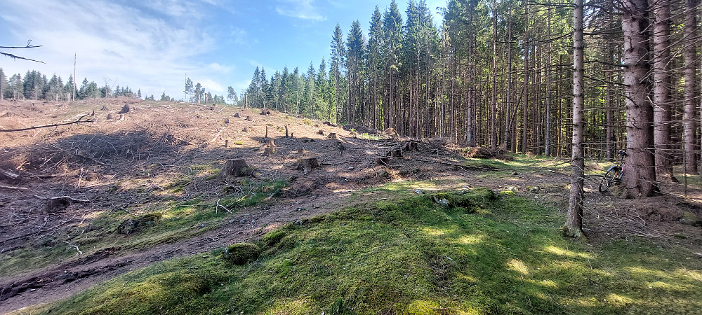 Satt sykkelen i bunnen av hogstfeltet