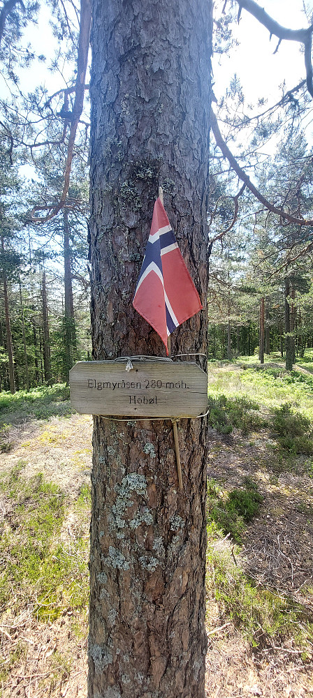 Første topp