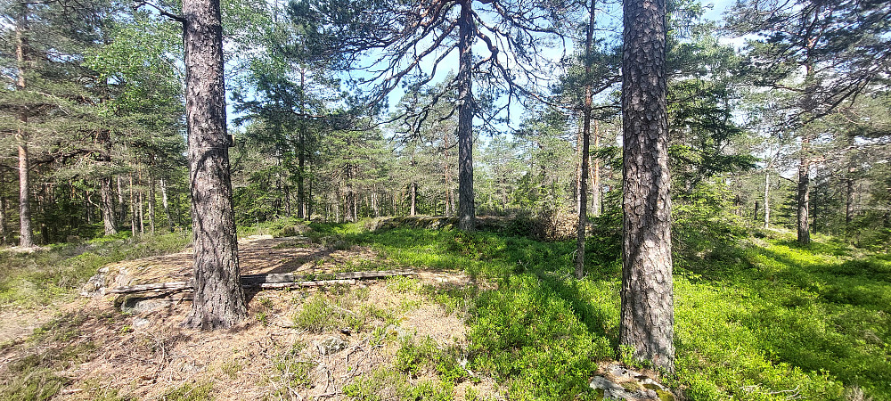 Andre topp