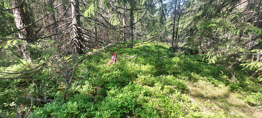 Tredje topp