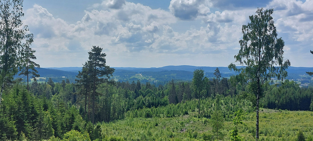 Litt utsikt på toppen av hogstfeltet