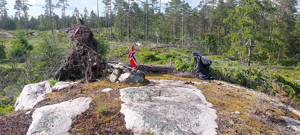 Slavasshøgda