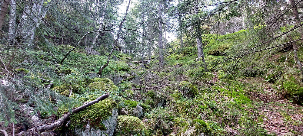  På vei opp skaret. Bratt men greit å gå.