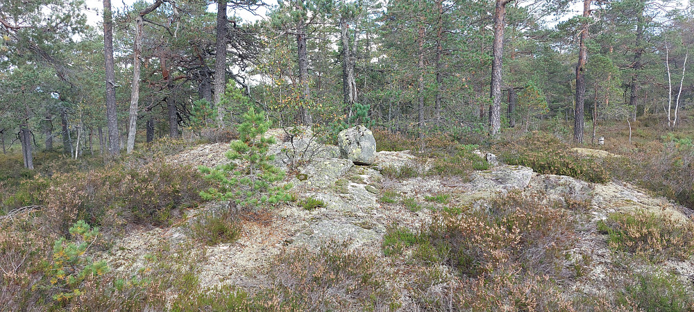 Toppunktet