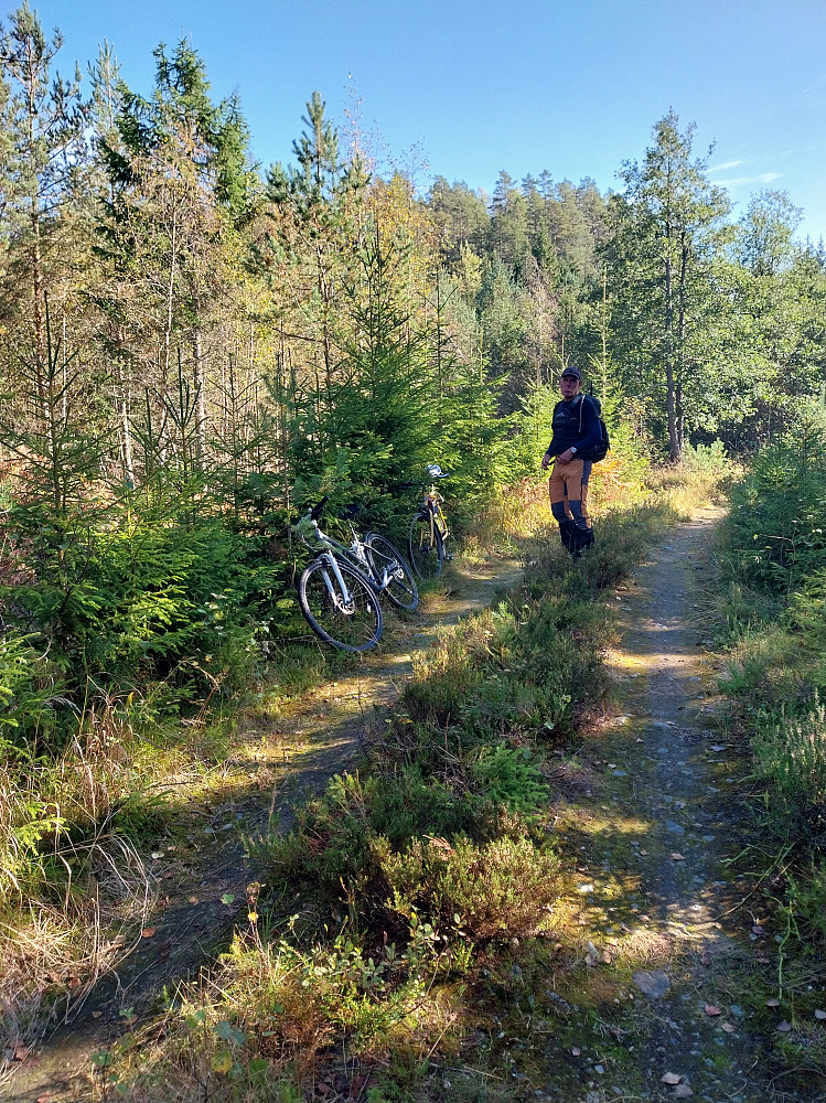 Parkering før Helsokknatten