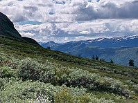 Arvid1965_20240927_66f6b5355cef2.jpg
