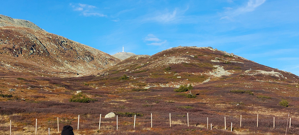 Flott høstdag