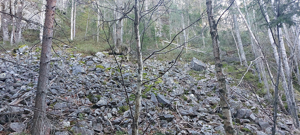 Hold til høyre opp røysa