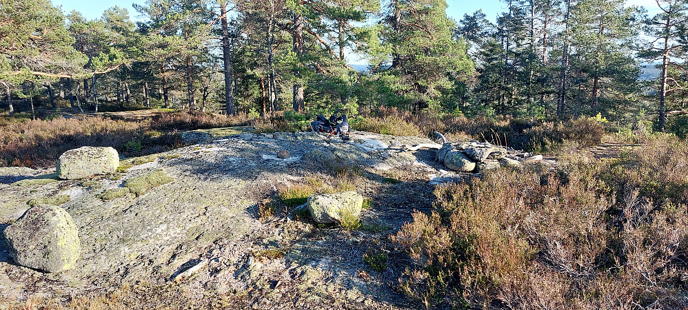 Toppunktet