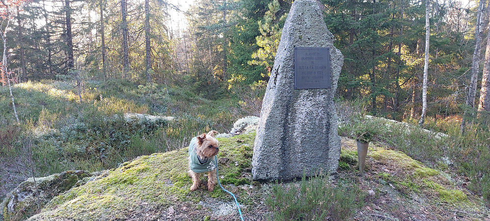  Minnestein over Skjeggås-leiren