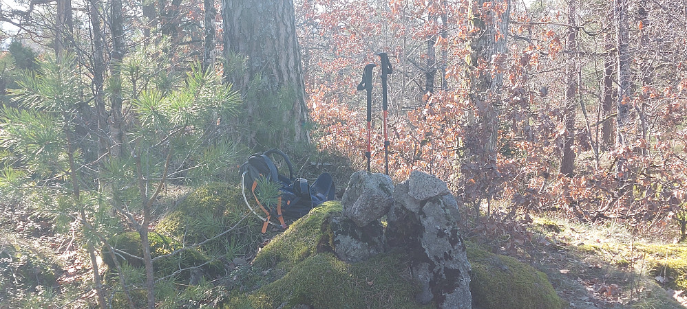 Gravtjernåsen