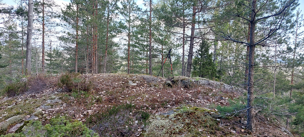 Toppen