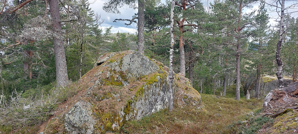 Toppen Godalsfjellet