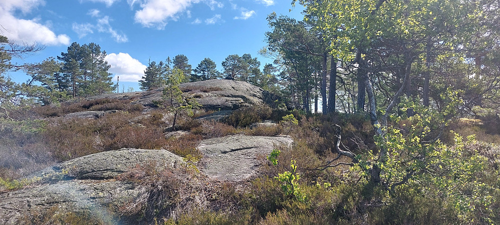 Toppen i sikte