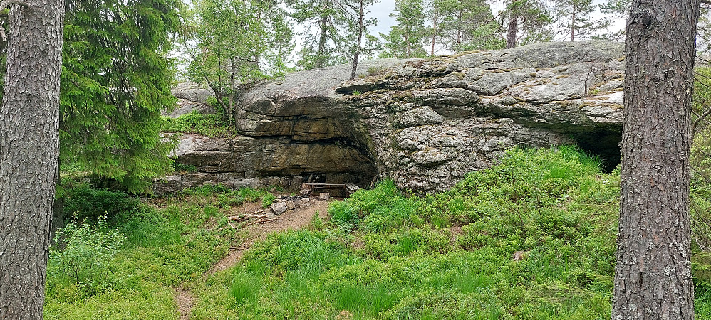 Bjørnehiet