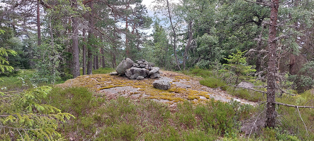 Toppunktet Ringen