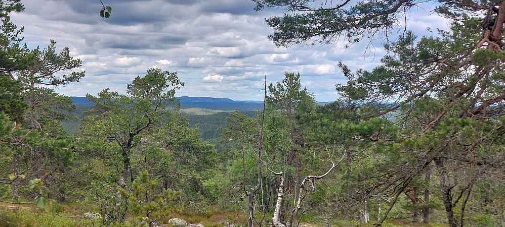  Utsikt mot Havrefjell og Solhomfjell på vei oppover