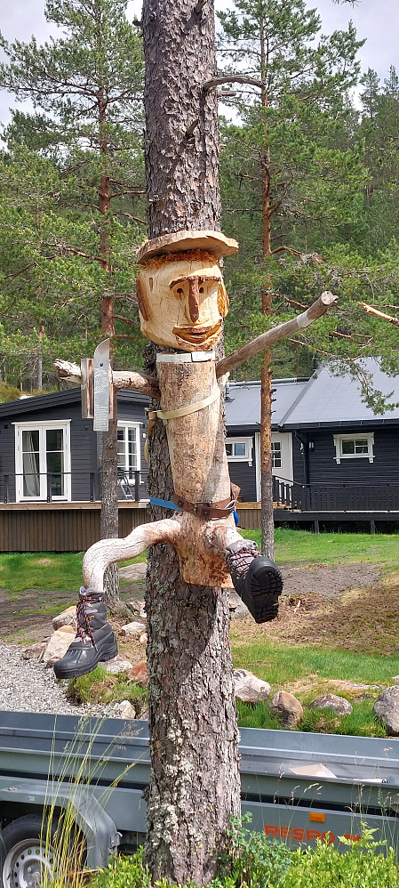  Veivokter