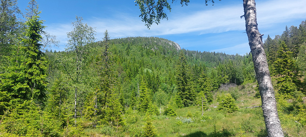 Tåråfjell er synlig på vei oppover