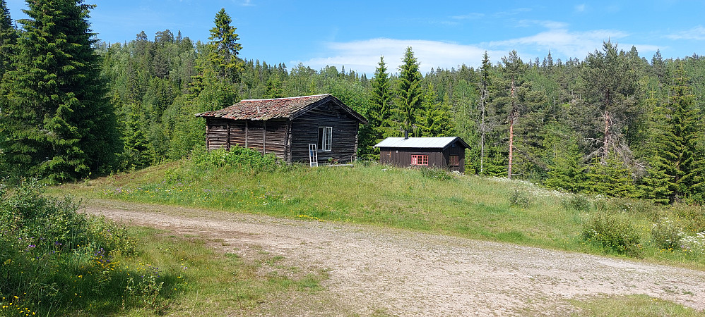 Nystul
