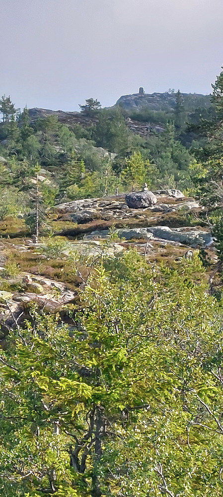Blikavarden 