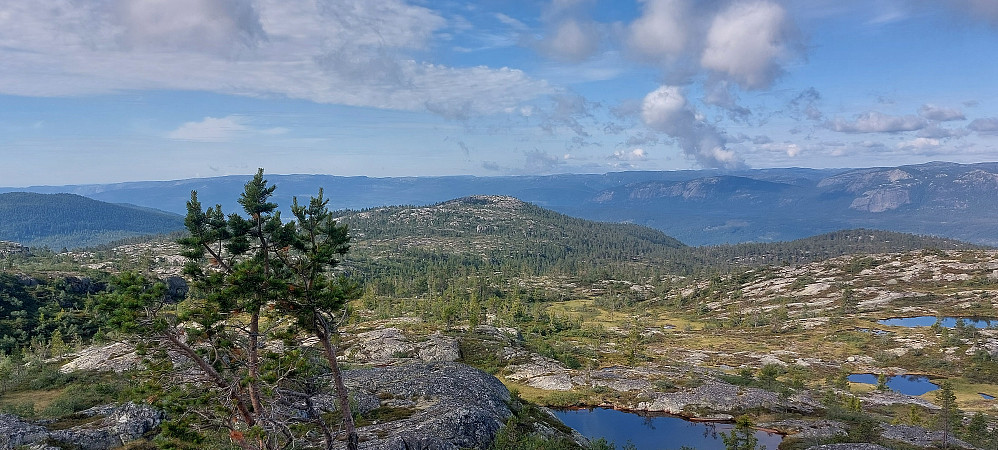 Håvenut sett fra Blikavarden