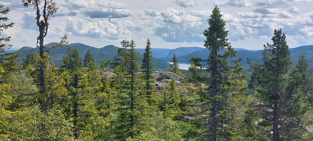  Skarsfjell, Vestlifjell og Rønnomnibben