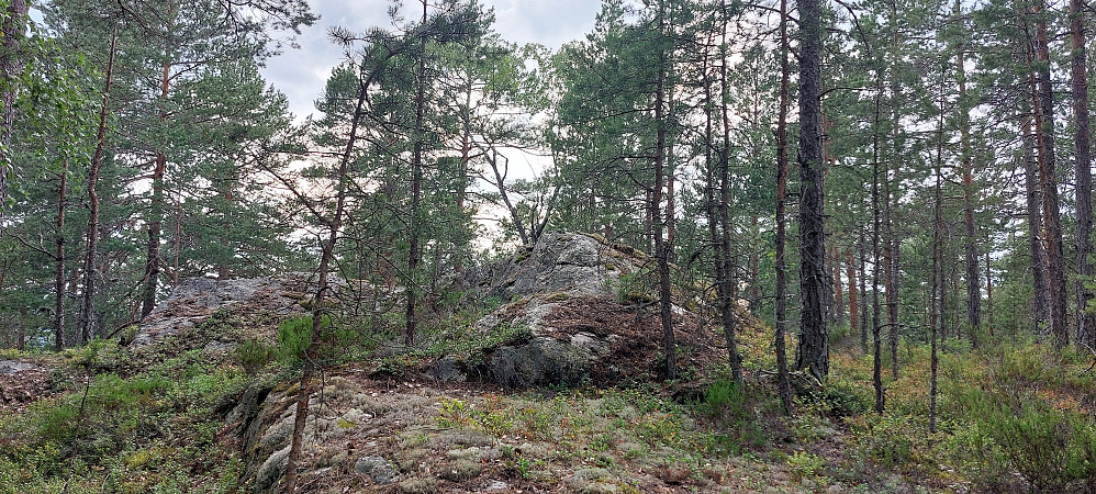 Toppunkt