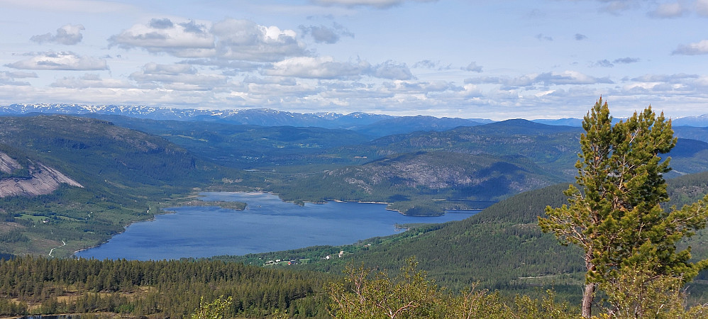 Utsikt mot Skredvatn