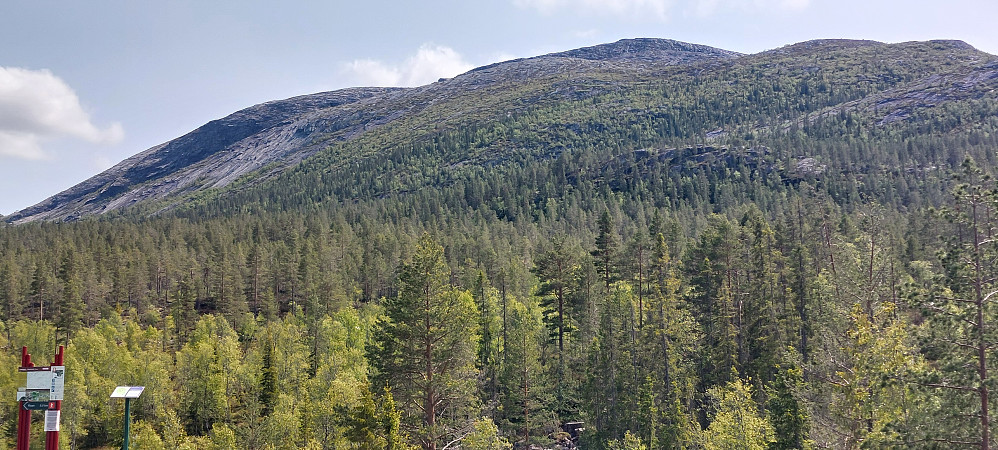 Roan sett fra parkeringen