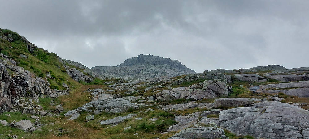 Toppen der framme