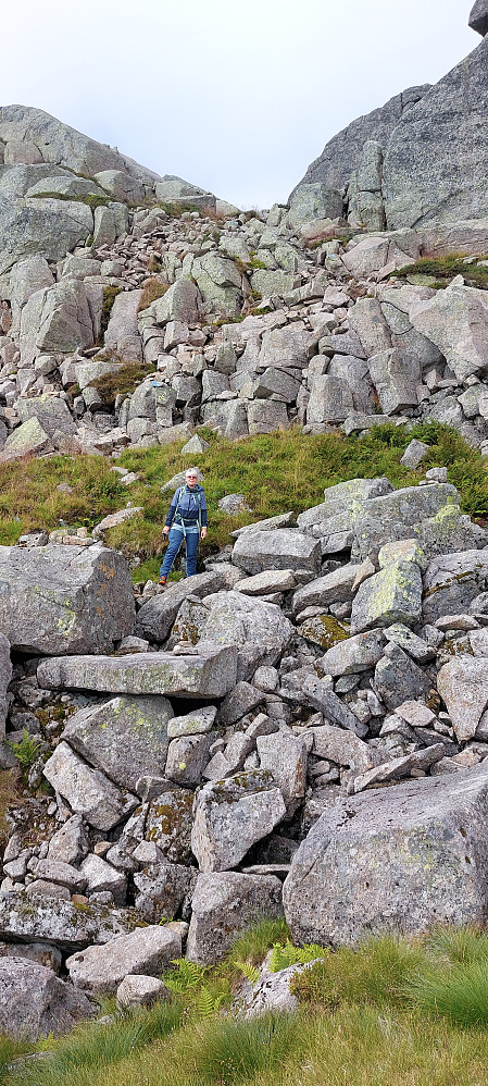  Steinur før toppen