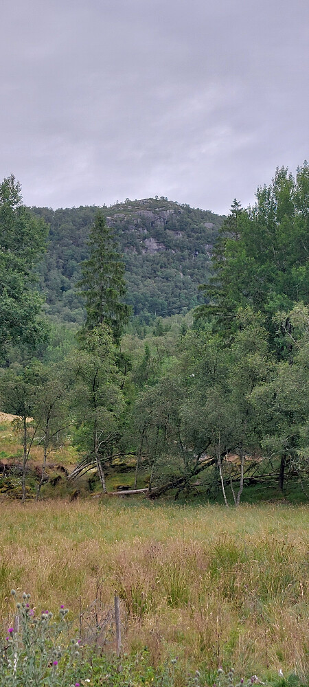 Toppen av Bandåsen