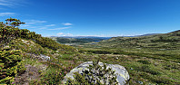 Icemann99_20220107_61d888a6d9386.jpg