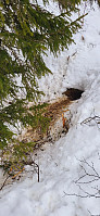 Icemann99_20230319_641719e1a62e1.jpg
