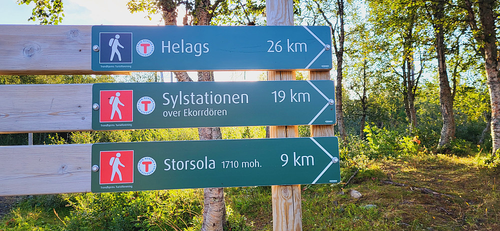 Da er vi igang..
